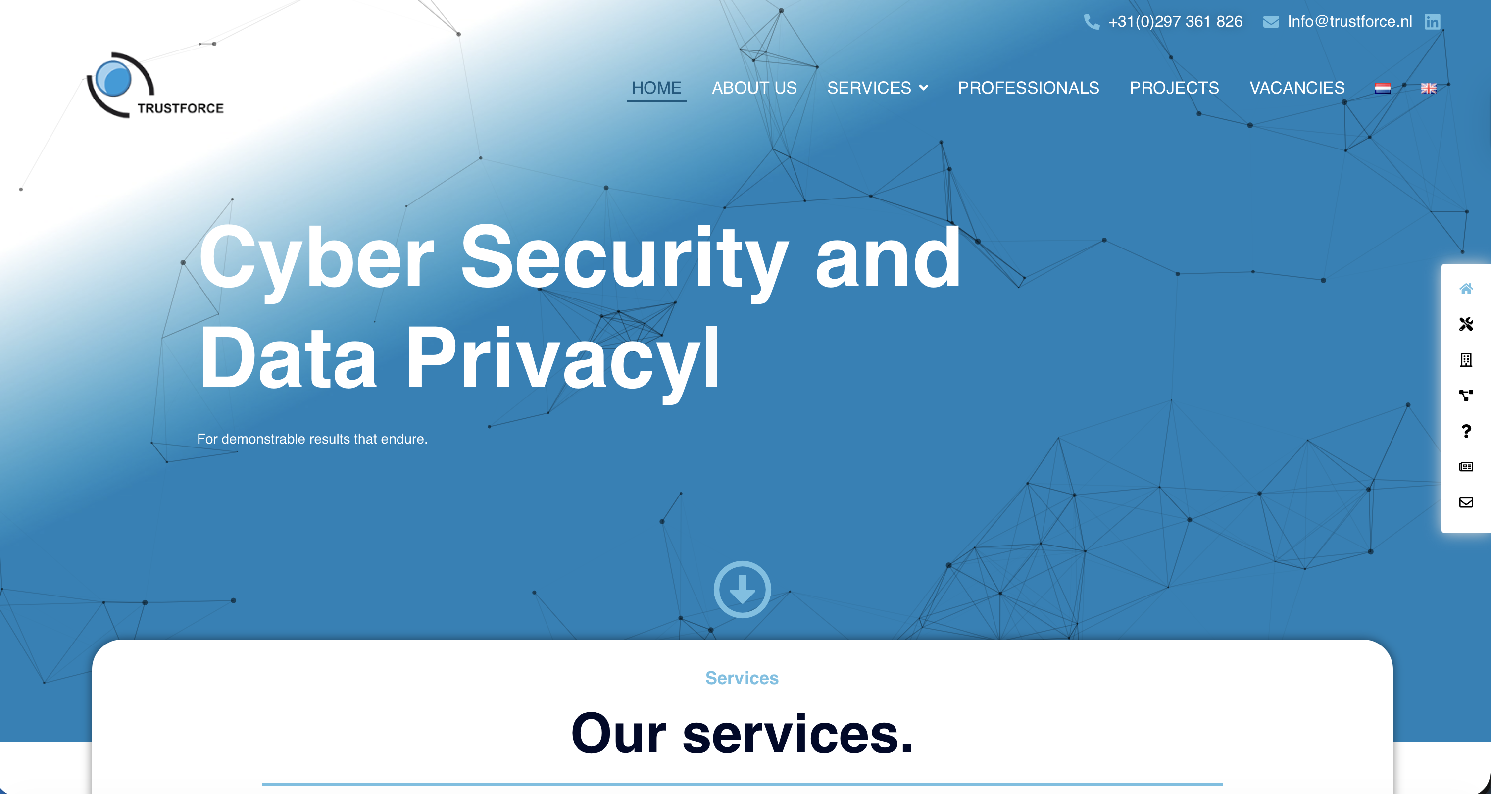 Trustforce Website
